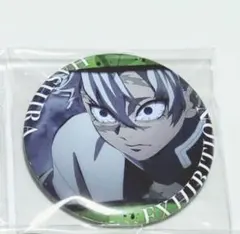 2025年最新】鬼滅の刃 柱展 エモーショナル缶バッジの人気