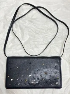 Item thumbnail for item e557bb95-debb-47a1-97f1-ad6db5674b6a