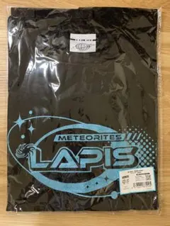 Item thumbnail for item 37ca648c-f287-4e16-8bc5-2f7e2a584883