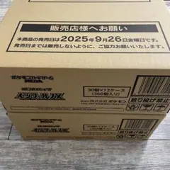 ポケモンカードゲーム インフェルノX 2カートン 24BOX