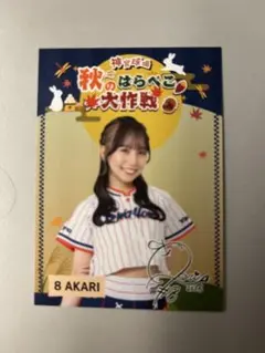 ヤクルトスワローズ 神宮球場 神宮グルメ 限定カード passion AKARI