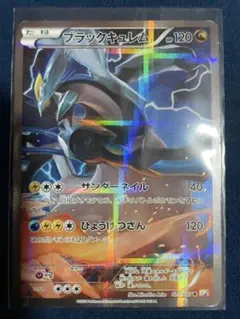 ブラックキュレム 020/027 R ポケモンカード