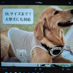 大きいサイズ アイスクリーム ランニングドッグ パーカー メンズ