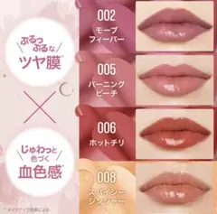 MAYBELLINE NEW YORK リフタープランプ　全４色のサムネイル