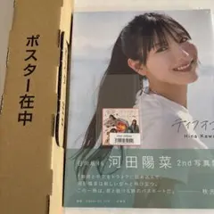 河田陽菜 タレント写真集