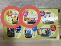 PIKMIN テラリウムコレクション2 1 たよれる相棒 2 おうち探索