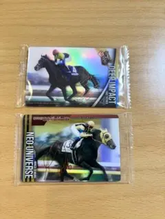 ミルコデムーロ【直筆サイン】入り【馬主限定品】ネオユニバース ミルコデムーロ【直筆サイン】入り【馬主限定品】ネオユニバース