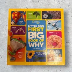 2025年最新】Little Kids first big bookの人気アイテム - メルカリ