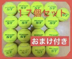 【DUNLOP ST】硬式テニスボール 17球セット