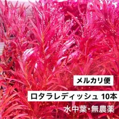 usako様 リクエスト 2点 まとめ商品