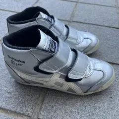 Item thumbnail for item 8d5ef820-daf9-4292-af05-9ccf3e082d4c