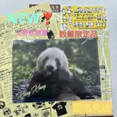 2025年最新】シャンシャン クリアファイル 松坂屋の人気アイテム