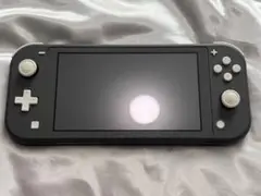 Nintendo Switch Lite グレー 本体