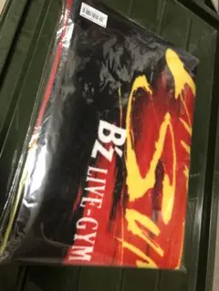 B'z LIVE-GYM　2013 会場限定シークレットチャーム 専用 B'z ENDLESS SUMMER DINOSAURチャーム2点セット｜Yahoo