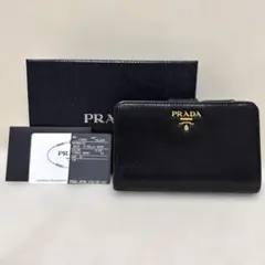 2025年最新】ヴィッテロダイノレザー プラダの人気アイテム - メルカリ