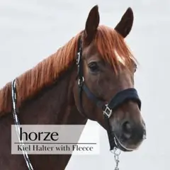 幅広フリース無口　フルサイズ　馬術　乗馬用品　馬　ホルター　頭絡　黒