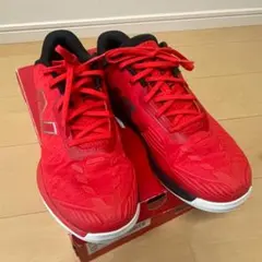 【ほぼ未使用】二ューバランス テニス テニスシューズ Fuelcell 996