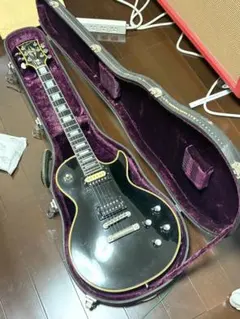 激レア PGM製 Custom TL-style with Tremolo - メルカリ