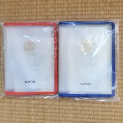 Item thumbnail for item 66b48949-2919-47a1-8140-ff6101eda8f1