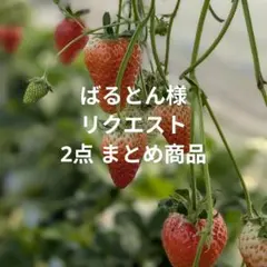 ばるとん様 リクエスト 2点 まとめ商品