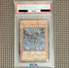 真紅眼の闇竜 UL [W6S-JP001]レリーフ PSA10 - メルカリ