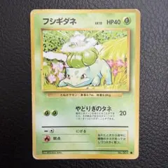 旧裏　ポケモンカード　フシギダネLV.13