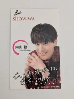 SHOW-WA 向山毅 たけちゃん 名刺 トレカ