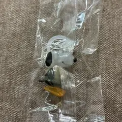 ◎PEANUTS めじるしアクセサリー FUNNY ver. スヌーピーD◎