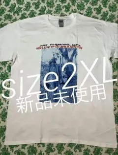 2025年最新】flaming lips tシャツの人気アイテム - メルカリ