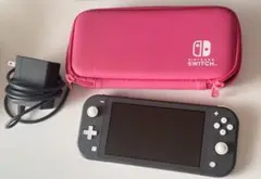 Nintendo Switch Lite グレー 本体