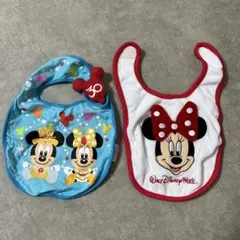 スタイ 2枚 アメリカディズニー,東京ディズニーリゾート