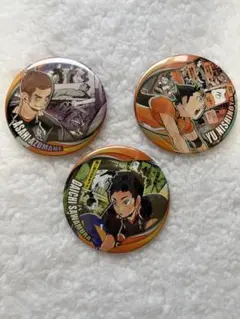 ハイキュー 缶バッジコレクション
