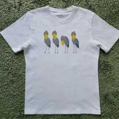 【美品】graniphグラニフ Tシャツ SSサイズ ハシビロコウ 白