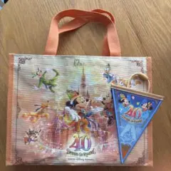 ディズニーリゾート 40周年 ドリームゴーラウンド バッグ ガーランド