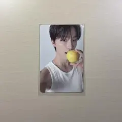 SEVENTEEN DINO トレカ