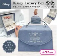 Disney ディズニー ラグジュアリーボックス ジュエリーボックス ミッキー