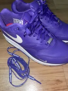 Supreme Nike Air Max 1