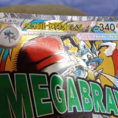 メガルカリオ　MA　中国語エラー