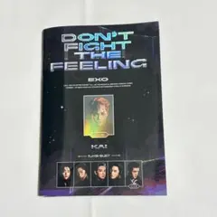 EXO DON'T FIGHT THE FEELING CD アルバム　KAI