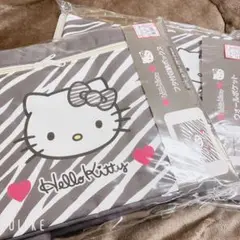 アベイル キティ サンリオ ギャル フタ付き収納ボックス ウォールポケット