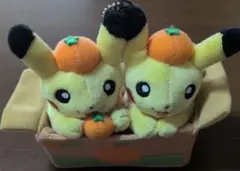 2025年最新】ペアピカチュウとえひめみかんの人気アイテム