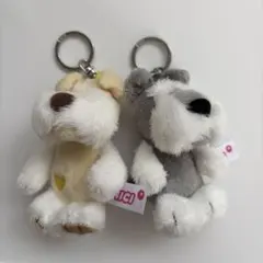 NICI台湾限定 サッカーシュナウザー 周年限定 新発売 - メルカリ