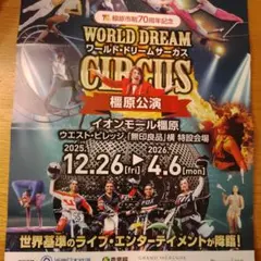 ワールド ドリームサーカス 橿原公演 特別割引入場券 チケット 自由席 5枚