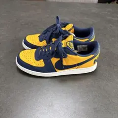 NIKE TERMINATOR LOW MICHIGAN 27.5