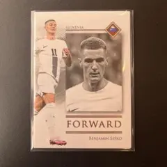 FUTERA unique 2025 シェシュコ