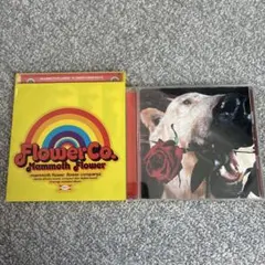 フラワーカンパニーズ　CDアルバム2枚セット