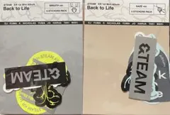 &TEAM Back to Life ステッカー 2種類セット