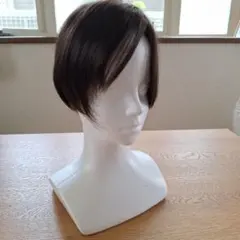 限定セール【ナオアート】NAO-ART レディースウィッグ 2025年最新】レディースナオアートウィッグの人気アイテム