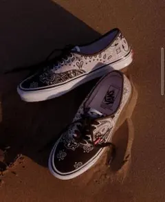 BEDWIN & THE HEARTBREAKERS × VANS
