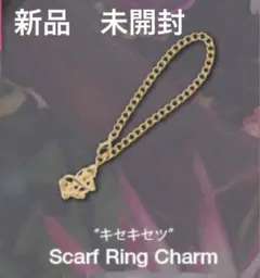 ミュージシャン AileTheShota Scarf RIng Charm 2026年最新】AileTheShotaの人気アイテム - メルカリ
